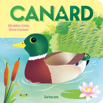 Canard