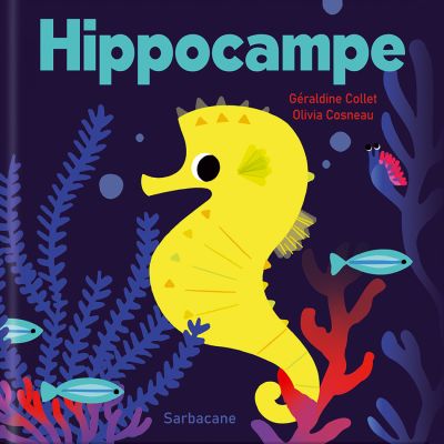 Hippocampe