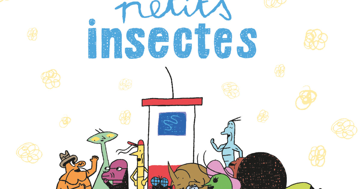 Les 10 Plus PETITS INSECTES Du MONDE Avec PHOTOS